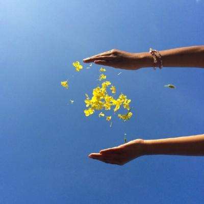 少接待3100万人次！海底捞全年“惨淡”：关停搬迁85家，减员1.1万员工