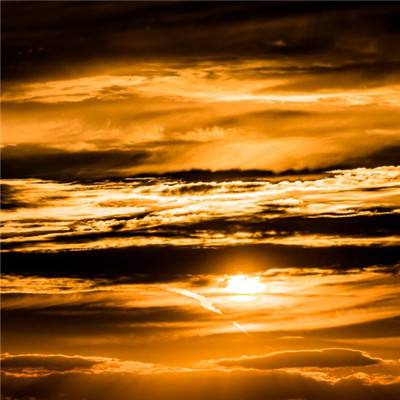 九游会(j9)官方网站全新版